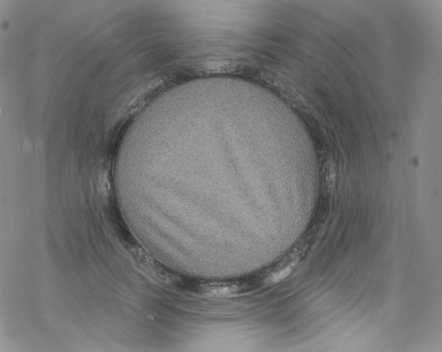 X0000076350746200610272119