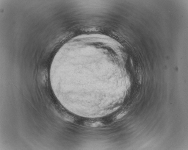 X0000076350747200610272119