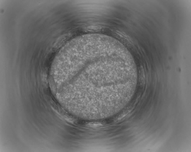 X0000076350749200610272119