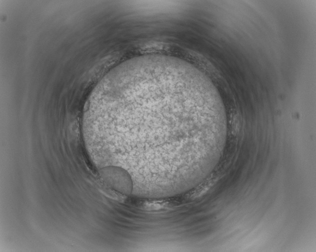 X0000076350753200610272119