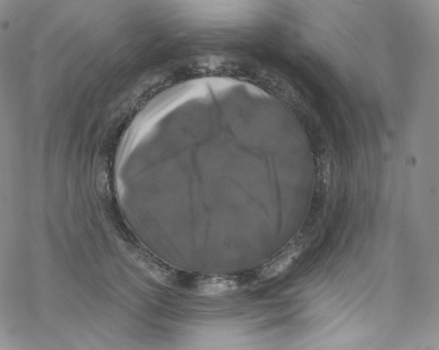 X0000076350754200610272119