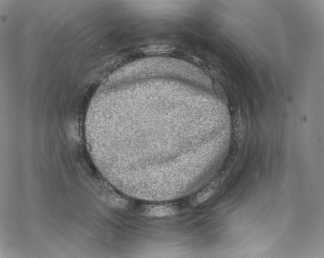 X0000076350755200610272119