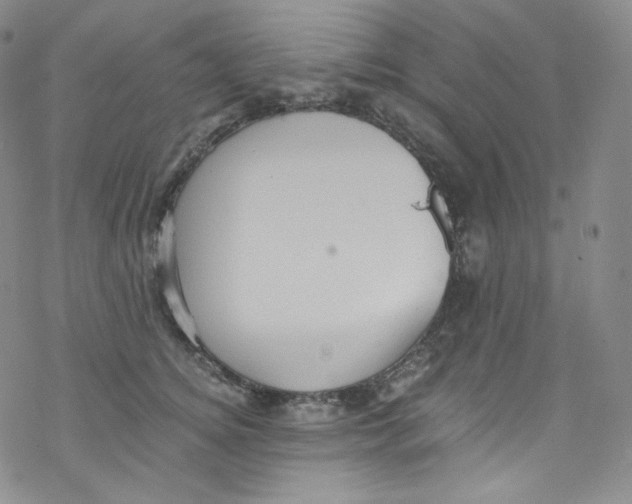 X0000076350756200610272120