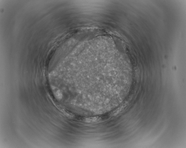 X0000076350757200610272120