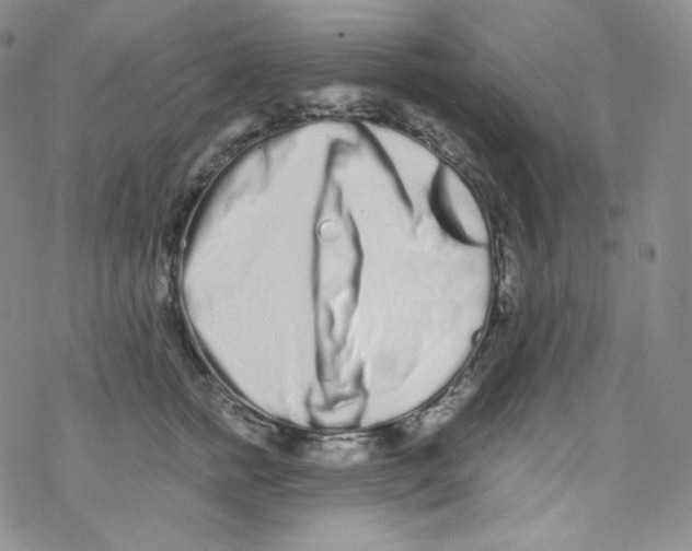 X0000076350758200610272120