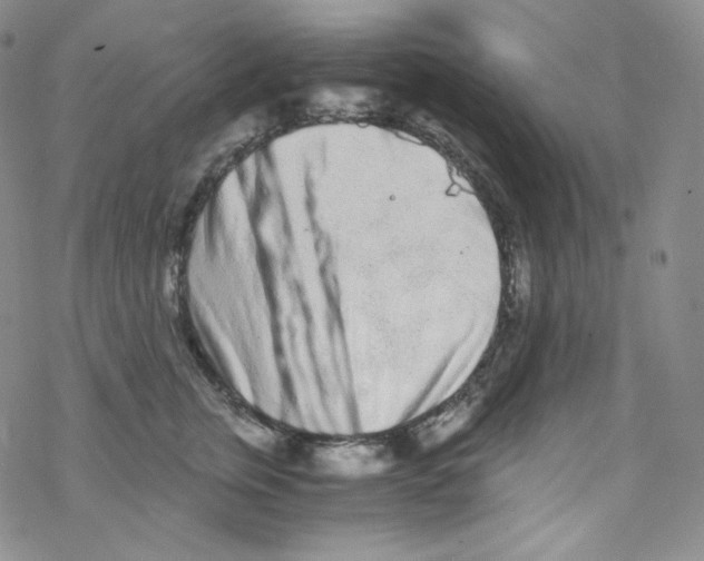 X0000076350759200610272120