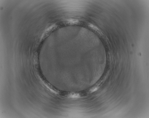 X0000076350760200610272120