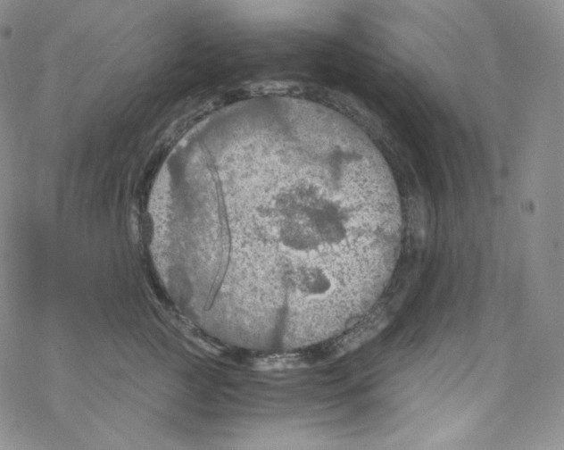 X0000076350761200610272120