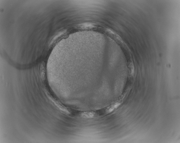 X0000076350762200610272120