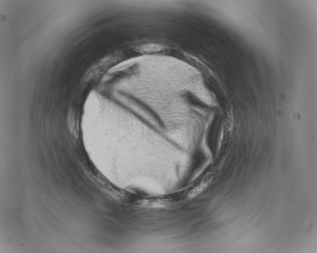 X0000076350763200610272120