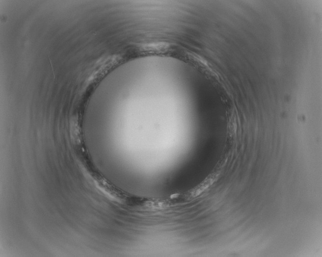 X0000076350764200610272120