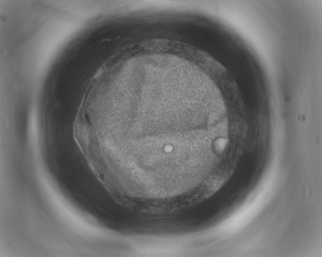 X0000076350765200610272120