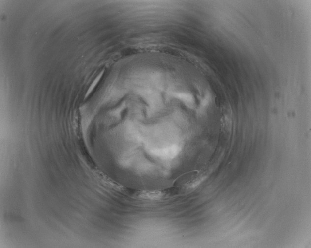 X0000076350767200610272120