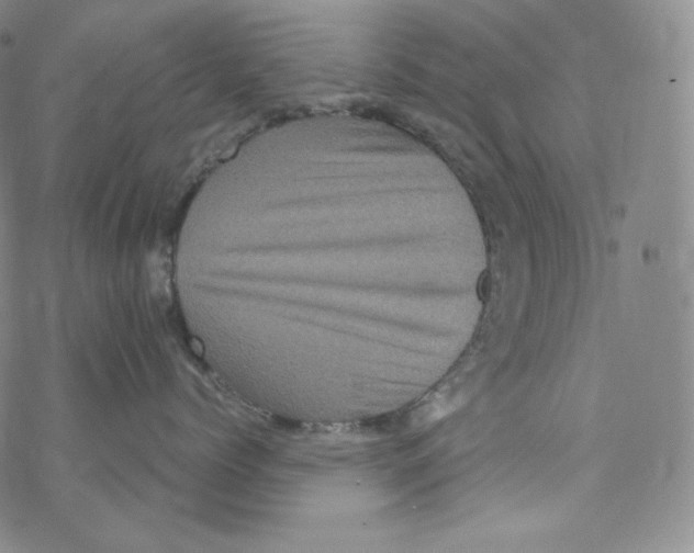 X0000076350768200610272120