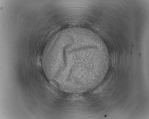 X0000076350770200610272119