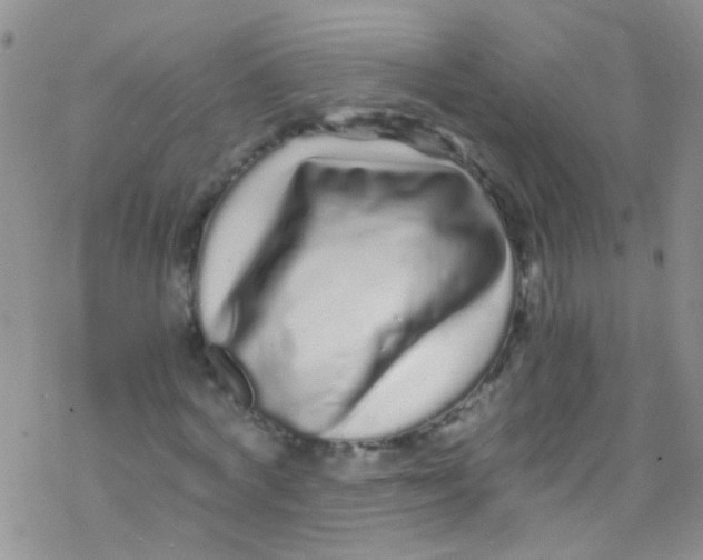 X0000076350772200610272119