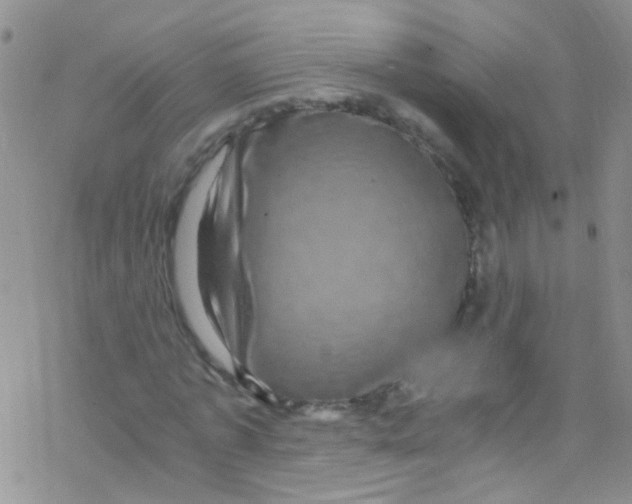 X0000076350773200610272119