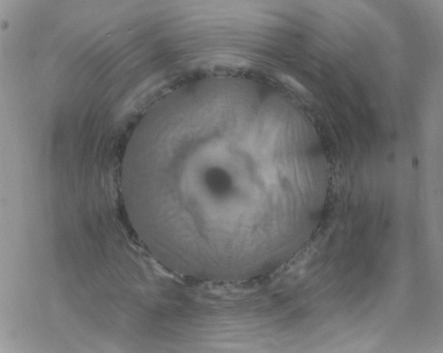 X0000076350774200610272119