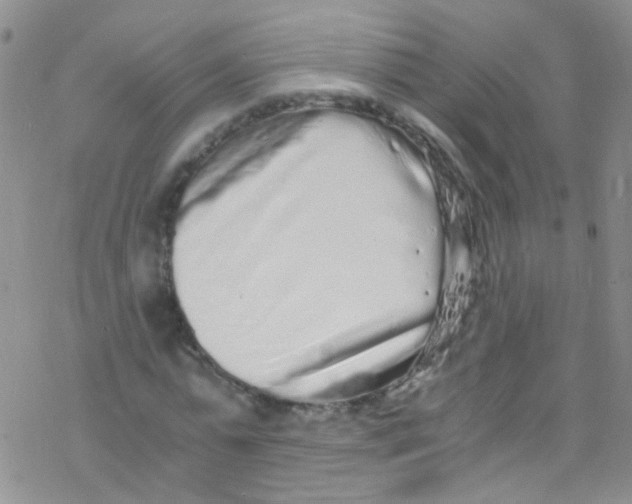 X0000076350775200610272119