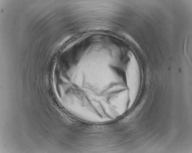 X0000076350777200610272119