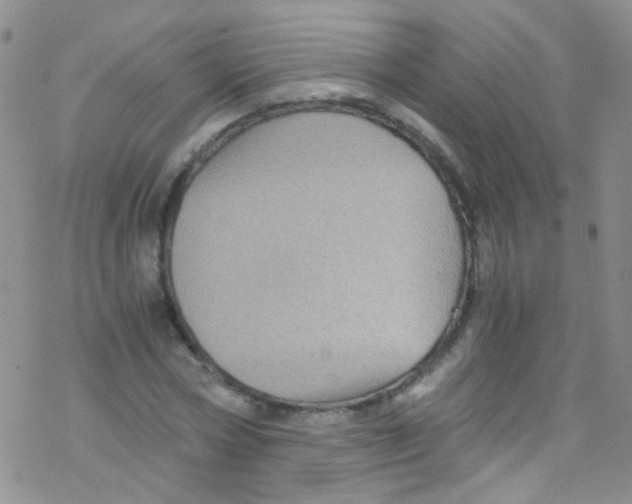 X0000076350778200610272119