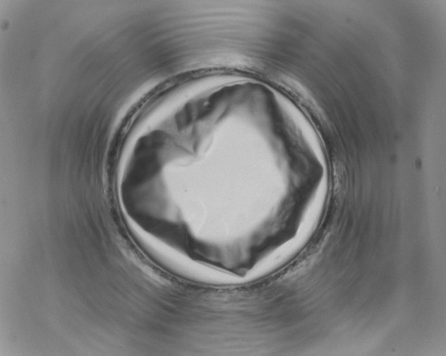 X0000076350780200610272119