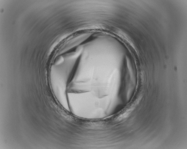 X0000076350781200610272119