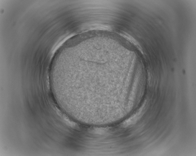 X0000076350782200610272119