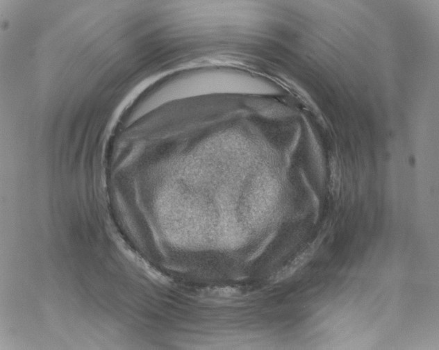 X0000076350784200610272119