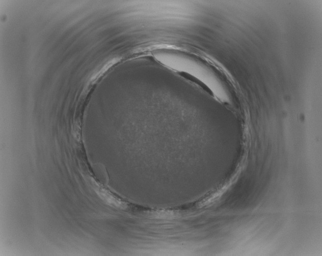 X0000076350785200610272119