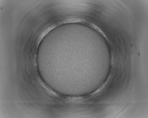 X0000076350786200610272119