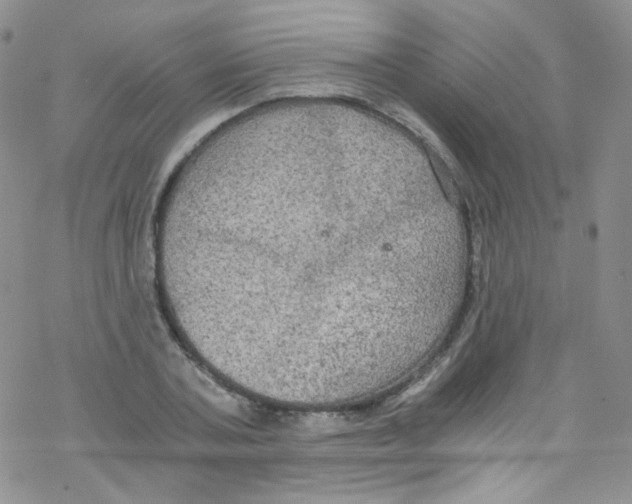 X0000076350787200610272119