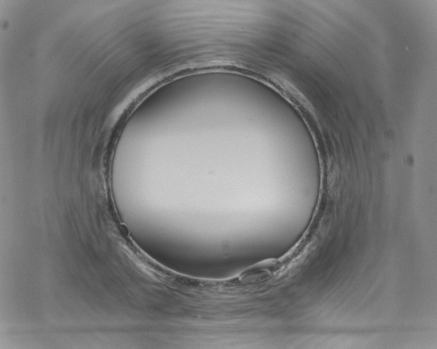 X0000076350789200610272119