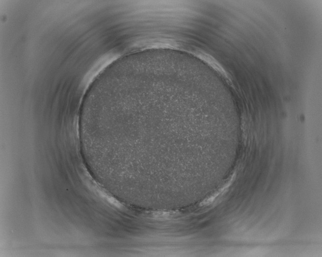 X0000076350790200610272119