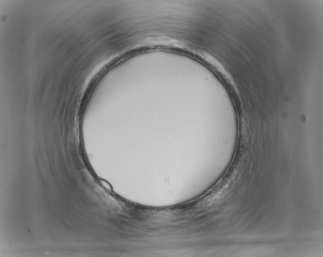 X0000076350791200610272119