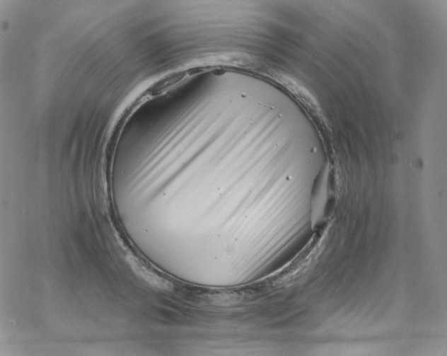 X0000076350792200610272119