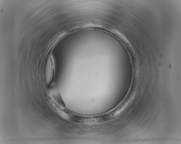 X0000076350793200610272119