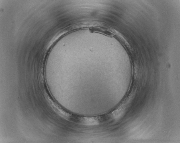 X0000076350794200610272119