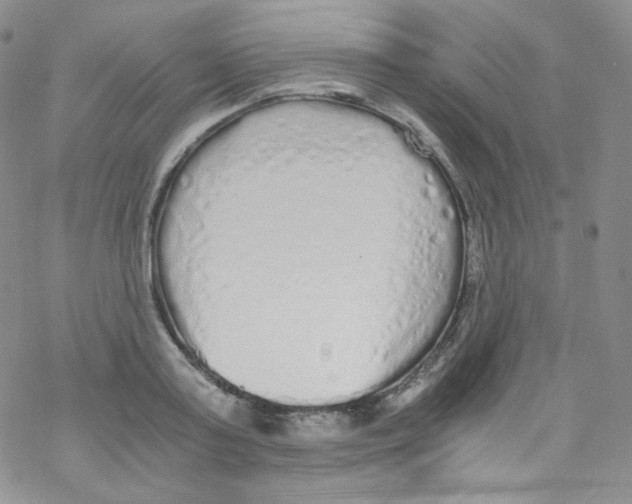 X0000076350795200610272119