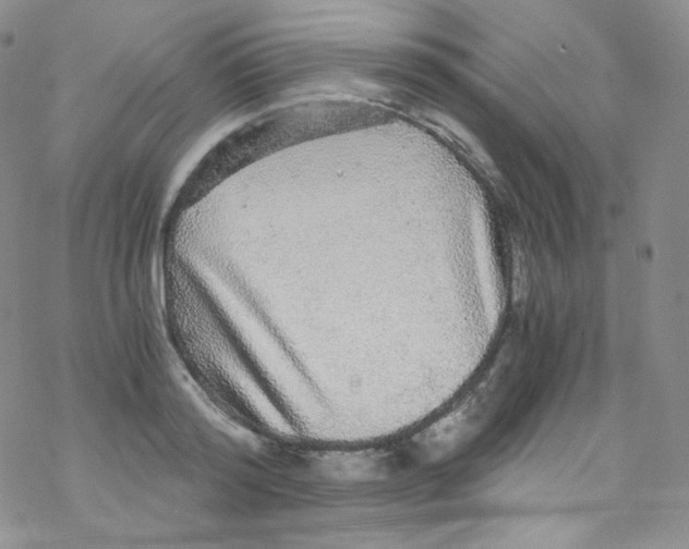 X0000076350796200610272118