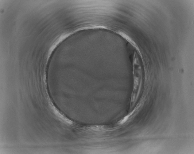 X0000076350797200610272118