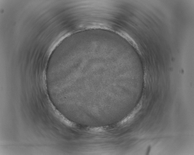 X0000076350798200610272118