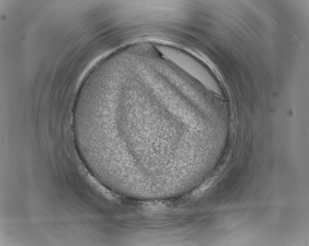 X0000076350799200610272118