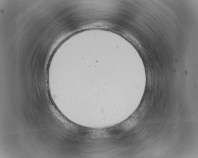 X0000076350800200610272118