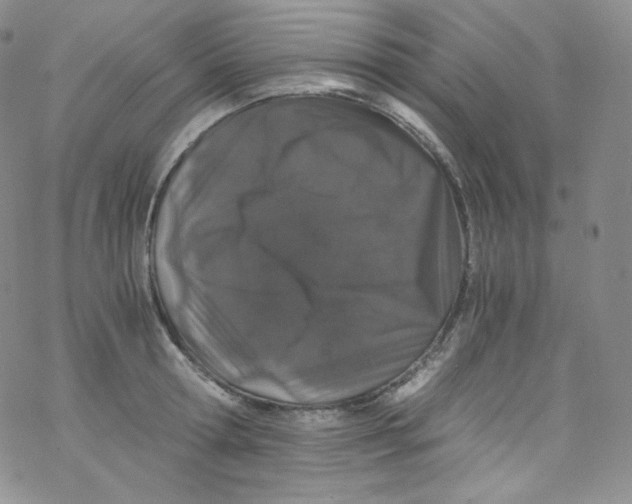 X0000076350802200610272118