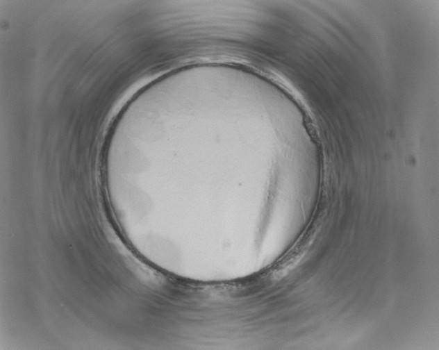 X0000076350803200610272118