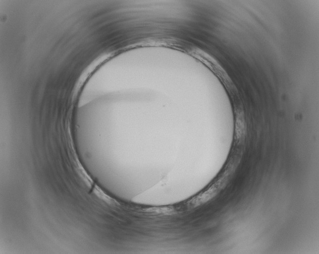 X0000076350804200610272118