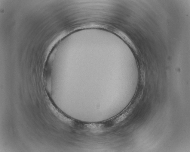 X0000076350805200610272118