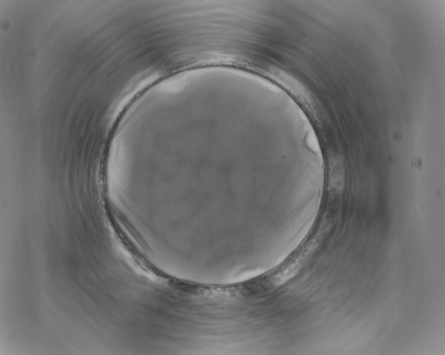 X0000076350806200610272118