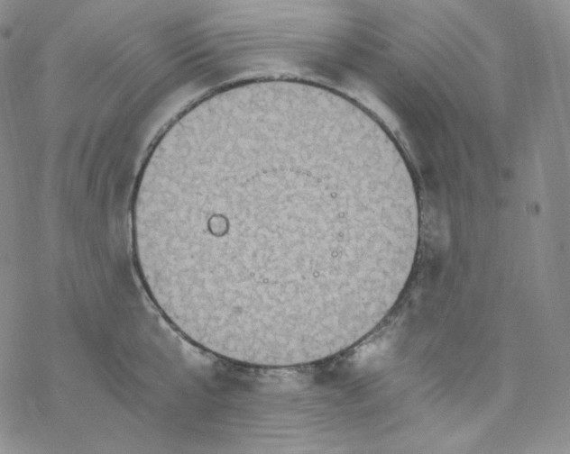 X0000076350807200610272118